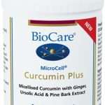 curcumin-plus